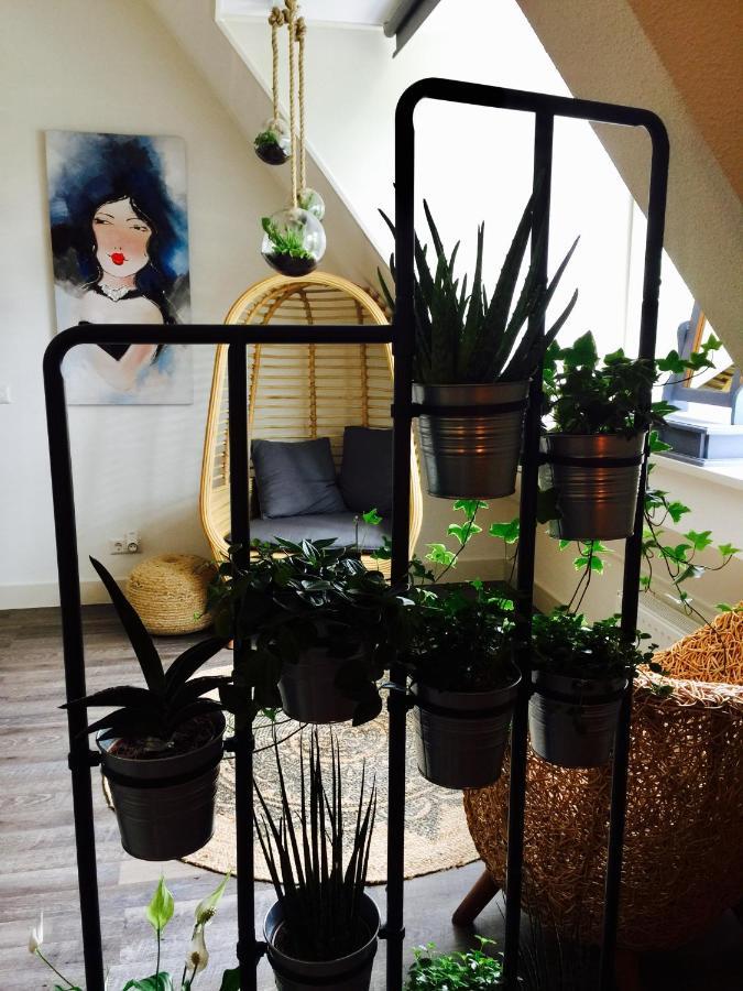 Happy Bentveld Guesthouse Εξωτερικό φωτογραφία